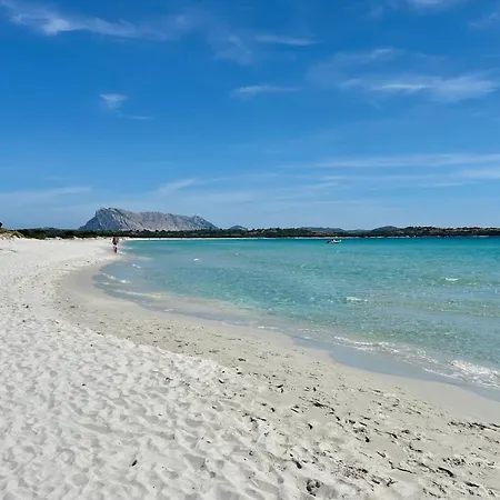 Apartment Iss Travel, Euro In San Teodoro, Groundfloor, 2 Bedrooms, 6 Beds, With Air Conditioning *